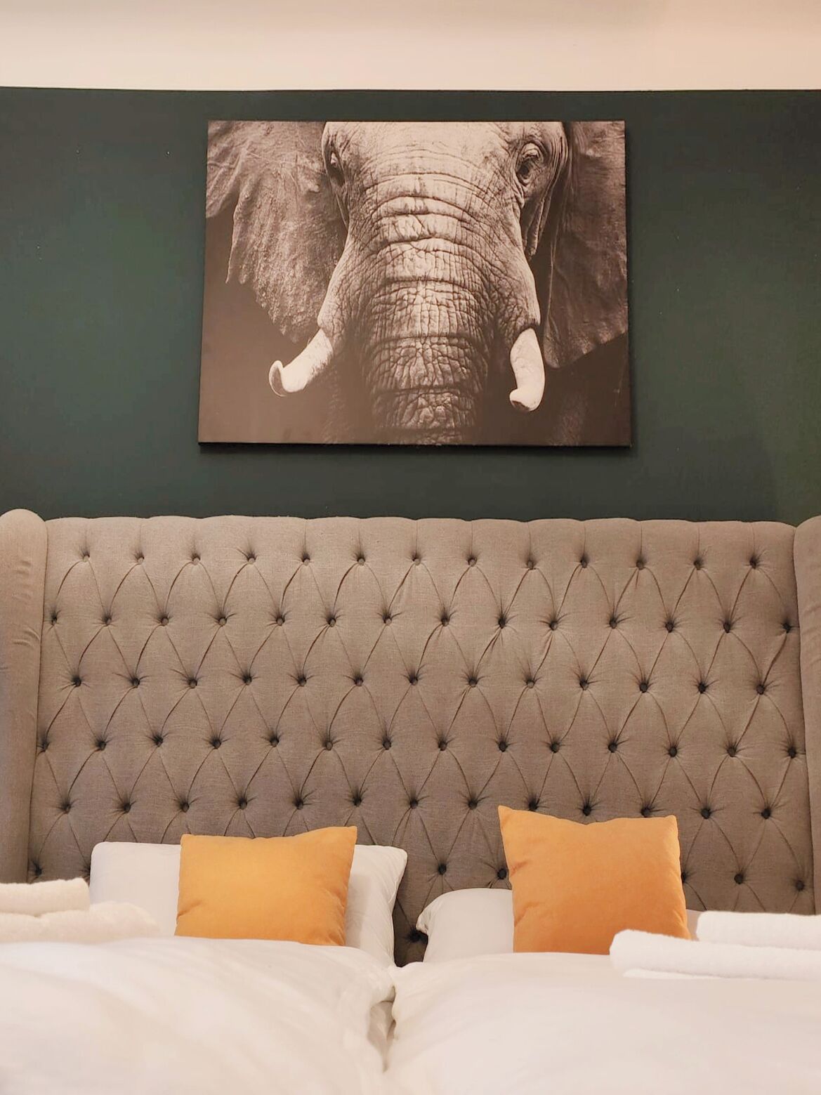 2 slaapkamers, een strijkplank/strijkijzer, reisbedje, gratis wifi