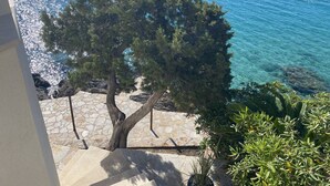Un arbre qui pousse au milieu d’un chemin pavé, avec vue sur la mer.