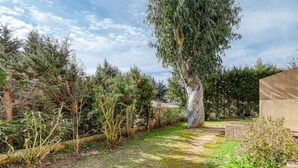Un jardin agrémenté de divers arbres et arbustes, d’un sentier en pierre et d’une structure en béton.