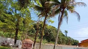 A well-maintained grassy yard with palm trees and a white wall. - NOVO ENCANTO (Ubatuba)