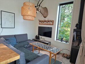 Smart TV, chimenea y estéreo