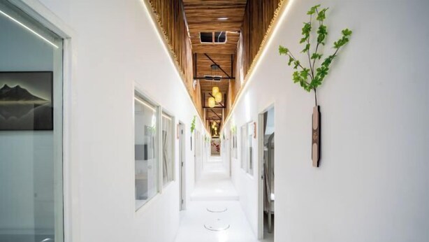 A modern hallway with a wooden ceiling, glass walls, and a plant decoration. - ZJ House(Phuket Town) (Phuket)