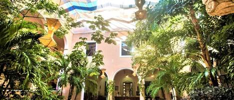 Àrea exterior de l'allotjament