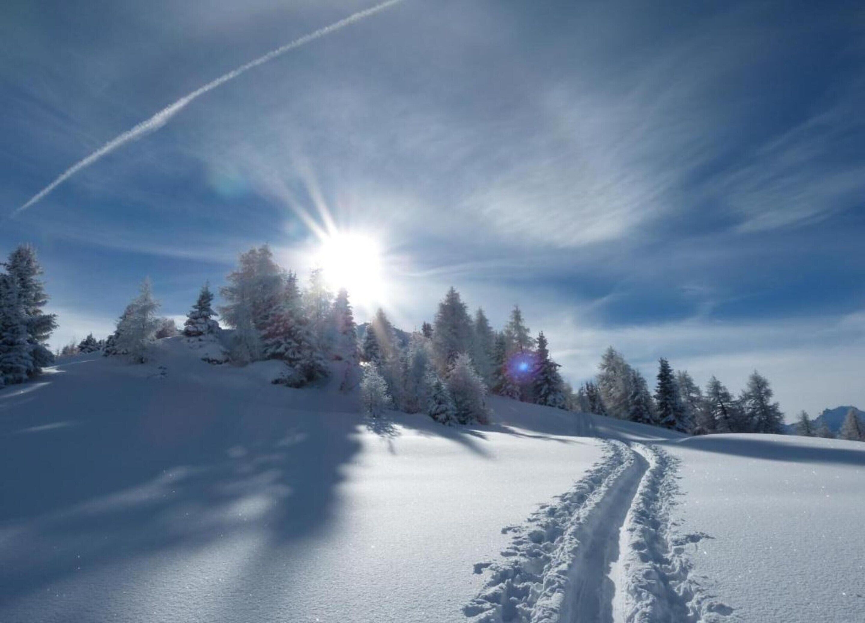 Schneebedeckte Landschaft mit blauem Himmel und Sonnenschein.