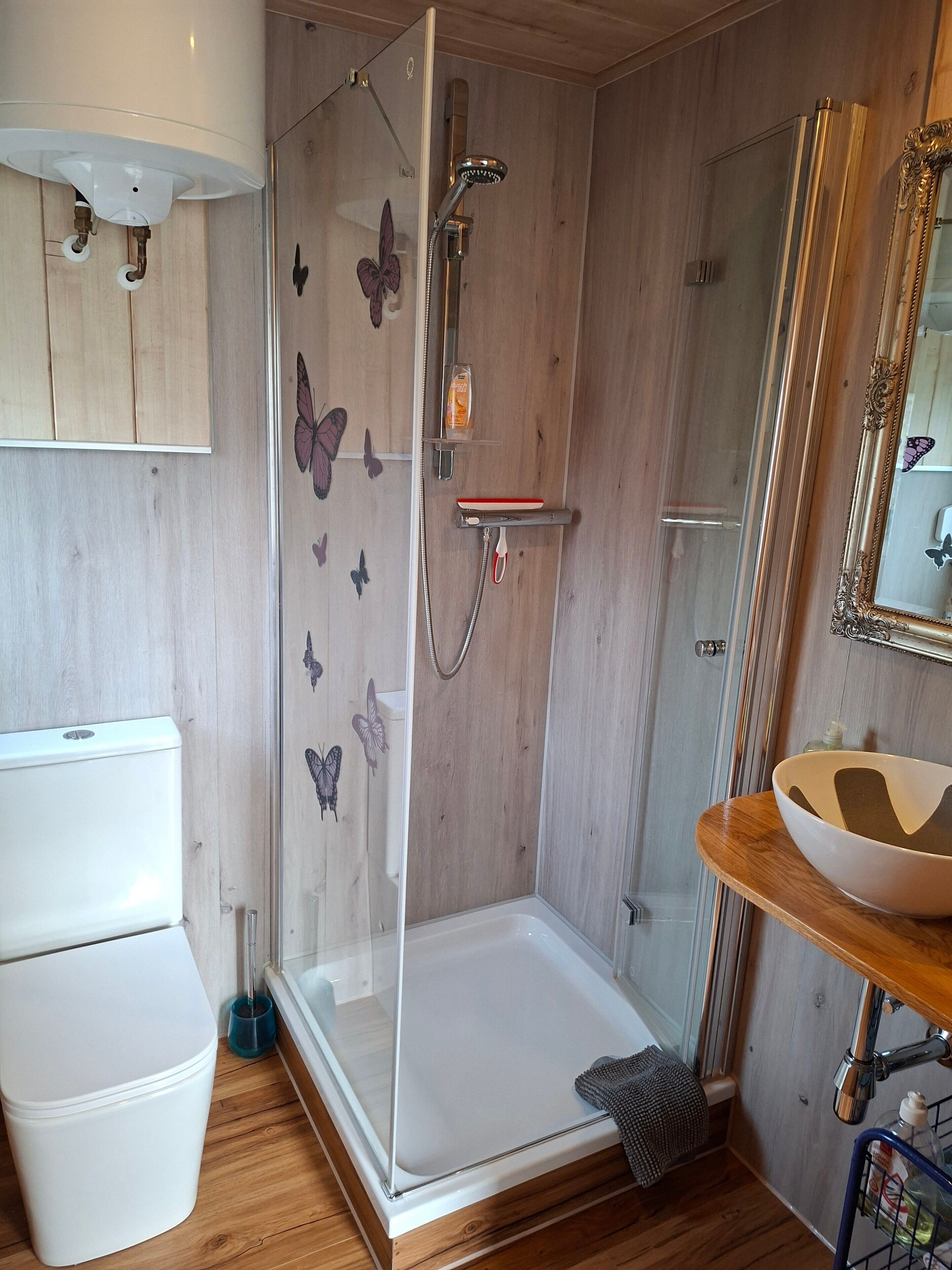 Shower, hair dryer, towels
