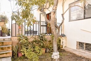 Dettaglio esterni