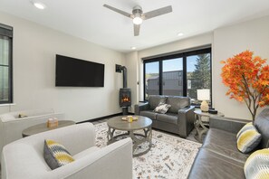 Smart TV, fireplace, computer monitors