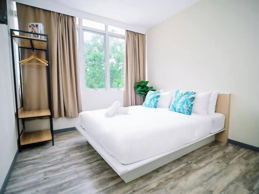 A hotel room with a bed, a wooden floor, a window with curtains, and a plant.