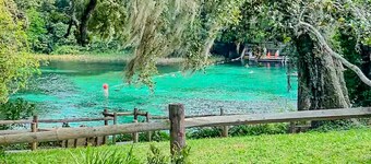 Private Room at Crystal River Retreat with Salt Water Pool