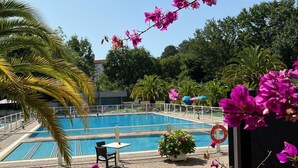 Ein Swimmingpool mit Blick auf die umliegende Landschaft, darunter Palmen und Bougainvillea-Blumen.