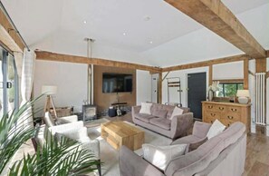 Fernseher, Kamin