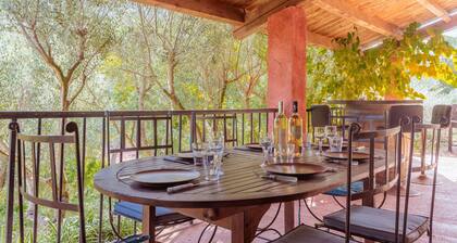 Gite Baba in a Vineyard