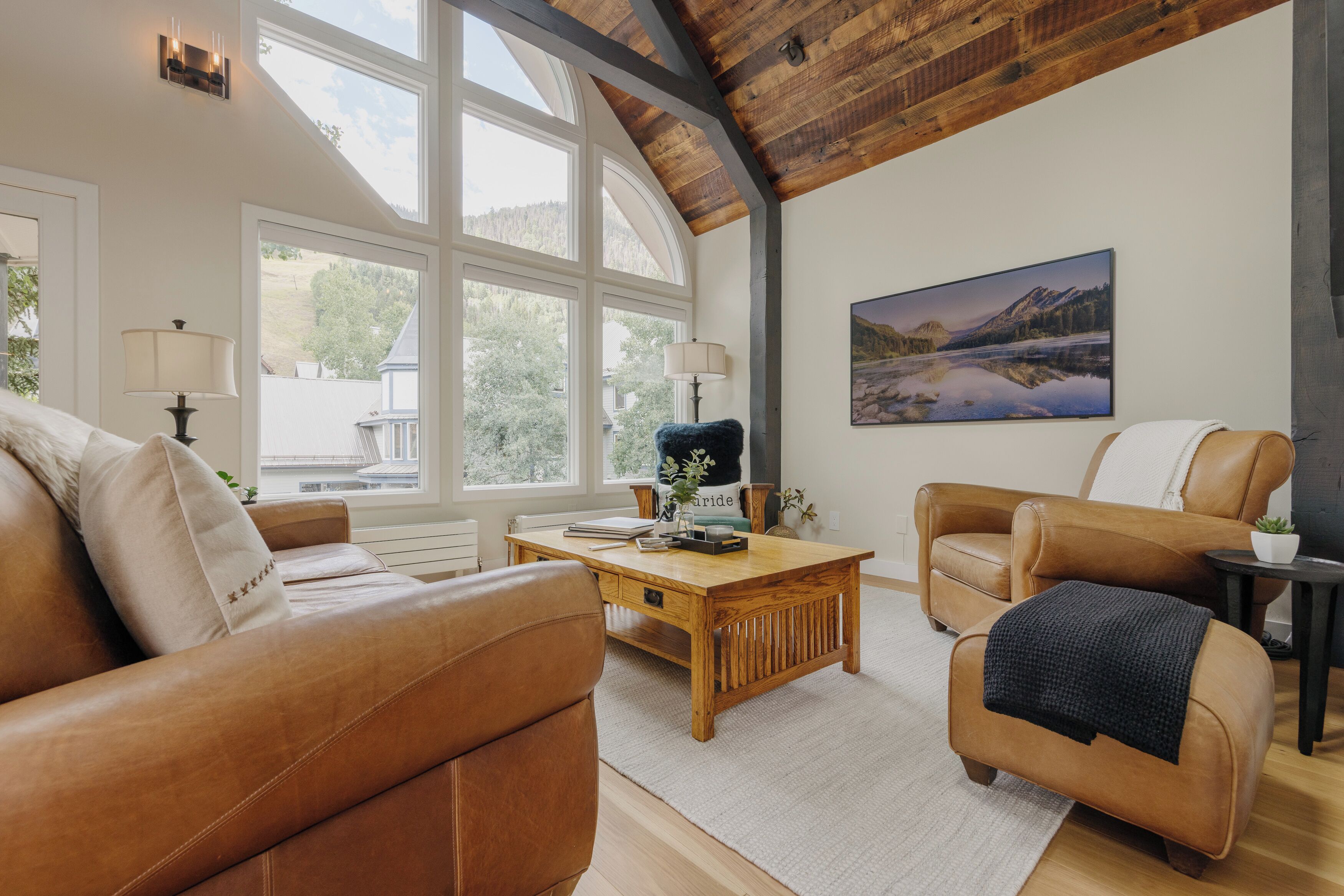 TV, fireplace, books