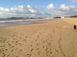 بالقرب من الشاطئ