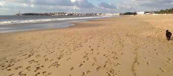 Bed and Breakfast 'Le Pommier' with Wi-Fi