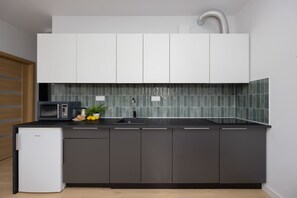 Kühlschrank, Mikrowelle, Herdplatte, Geschirrspüler