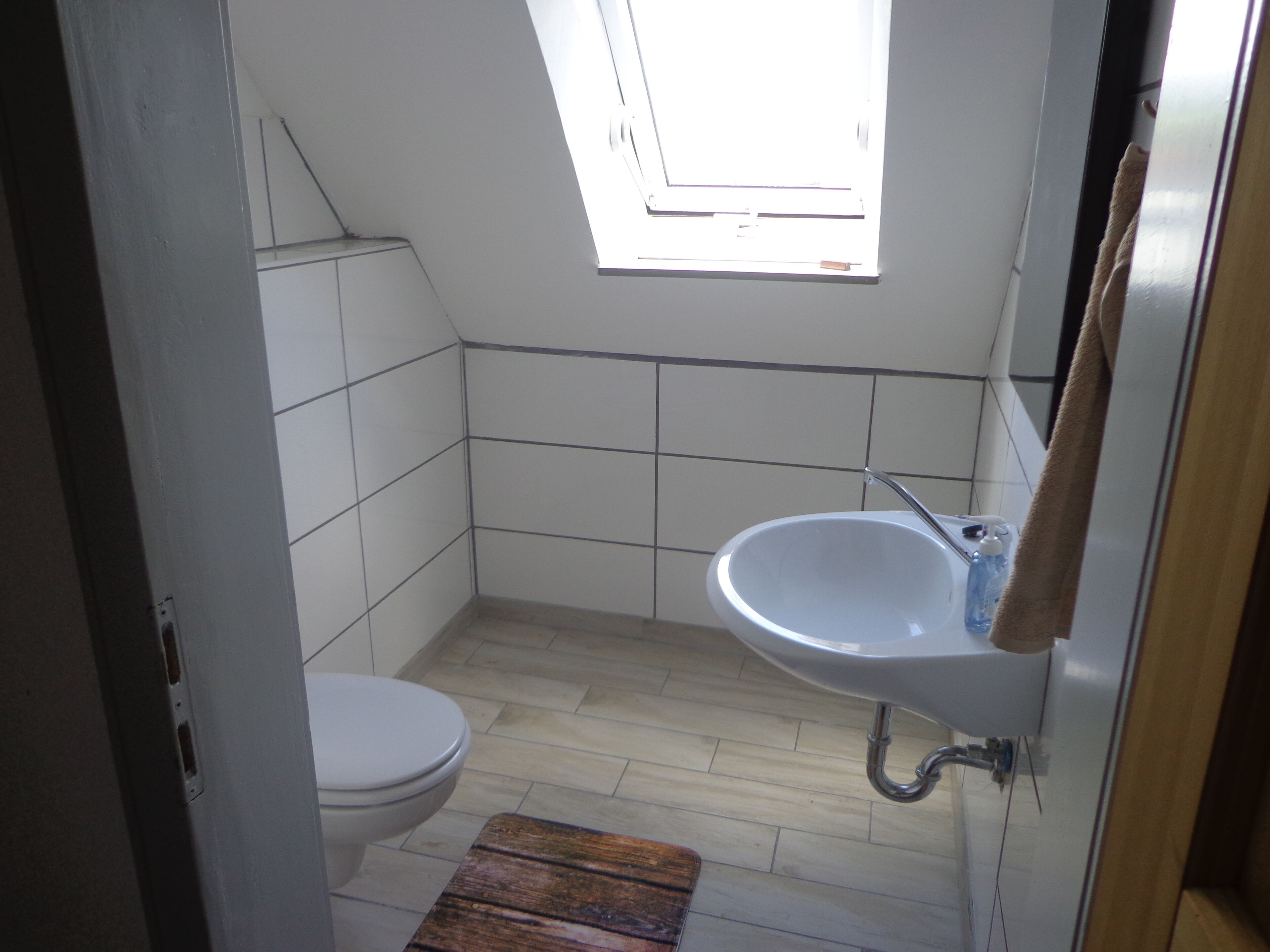 Shower, towels, toilet paper
