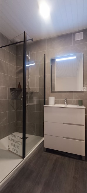 Shower, hair dryer