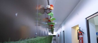 Hotel Blue Berry Agra