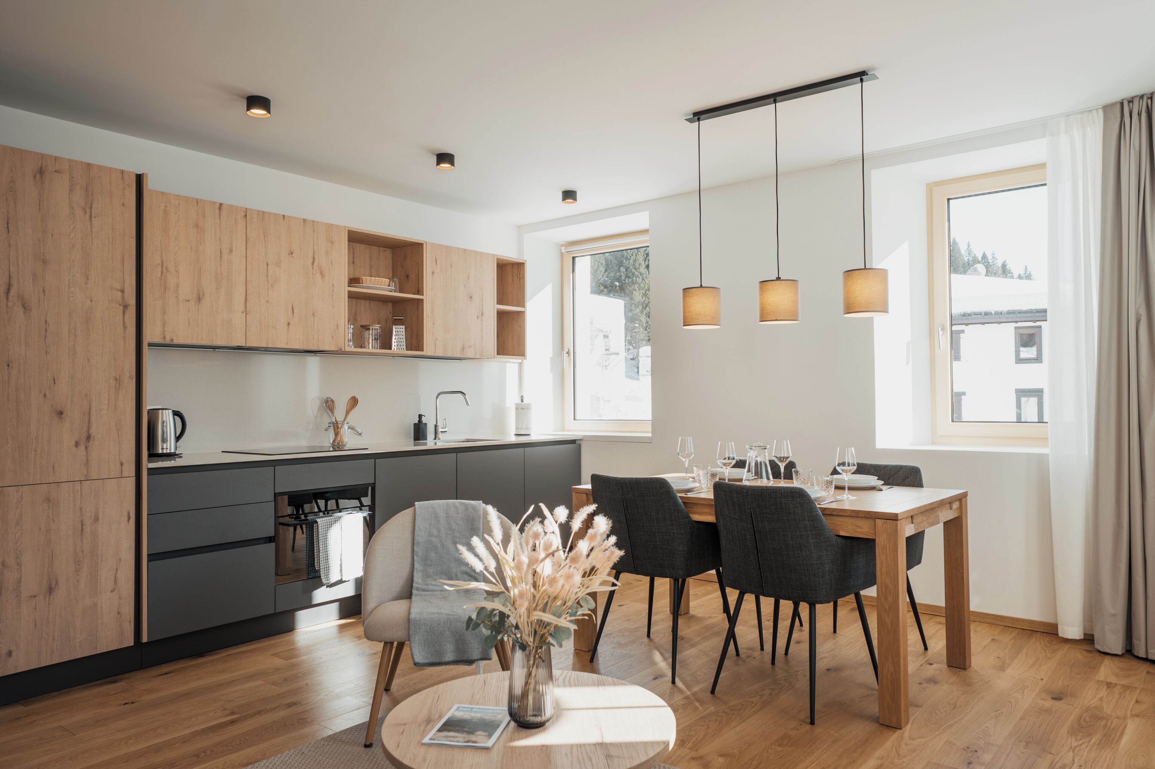 1 Bedroom Apartment - Larix | Coin séjour