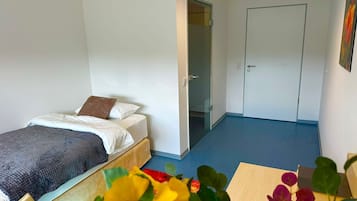 Habitación individual | Escritorio, espacio para trabajar con laptop y wifi gratis