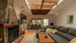 Een moderne woonkamer met een stenen openhaard, een grijze bank, een houten salontafel en een eethoek met een gestreept vloerkleed.