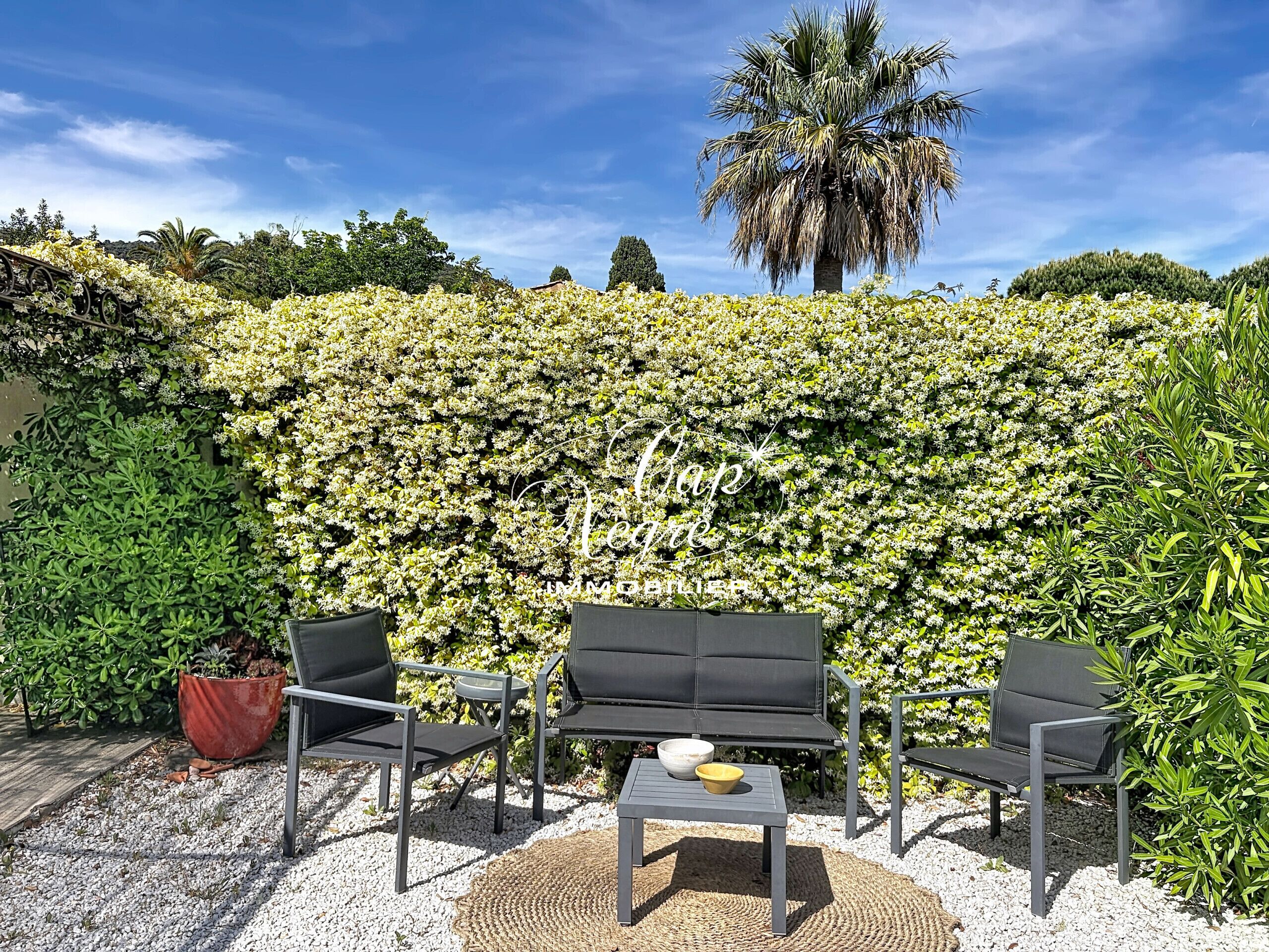 Eine Terrasse mit Gartenmöbeln, einer Zierwand und einer Palme.