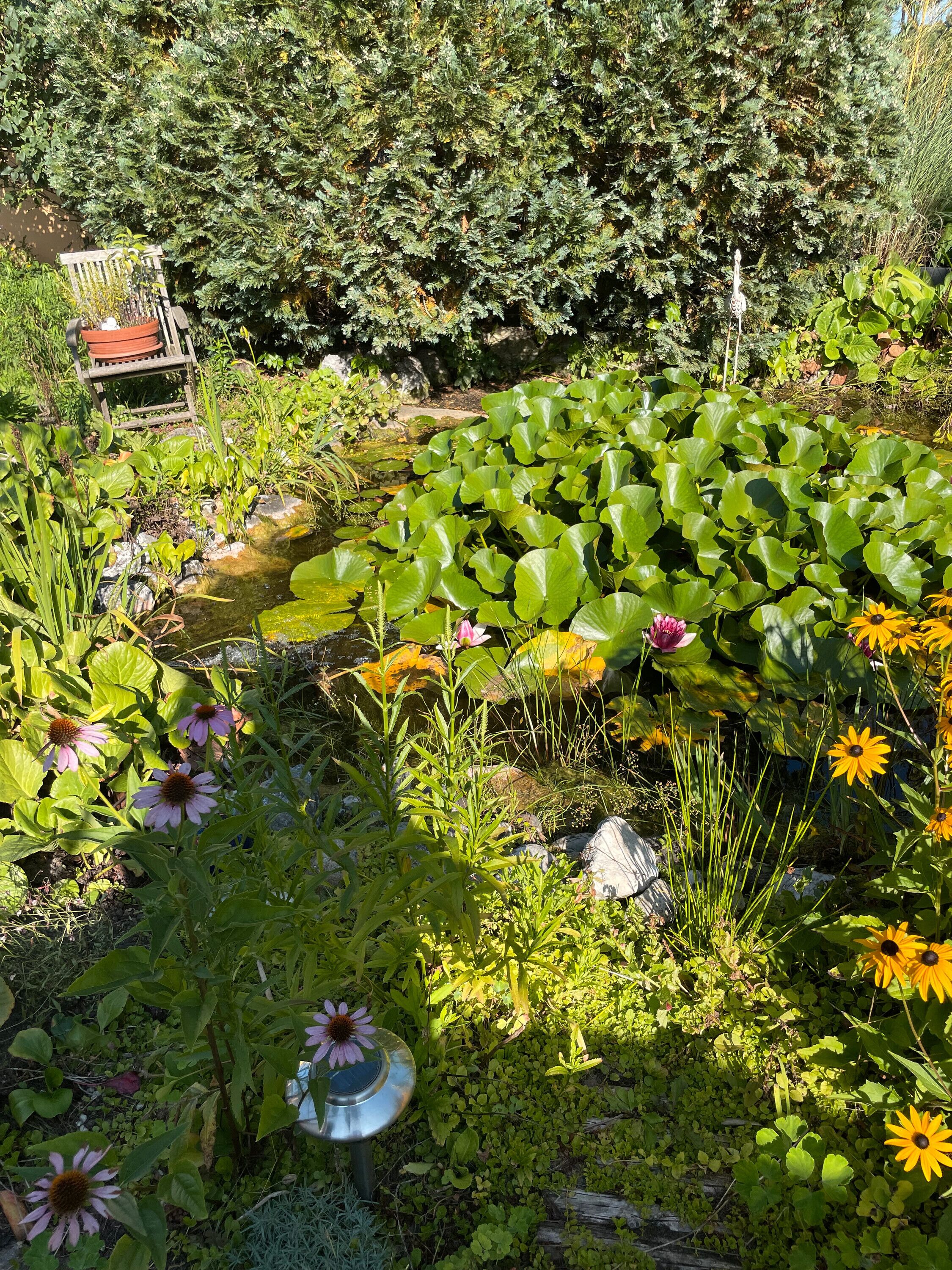 Enceinte de l’hébergement