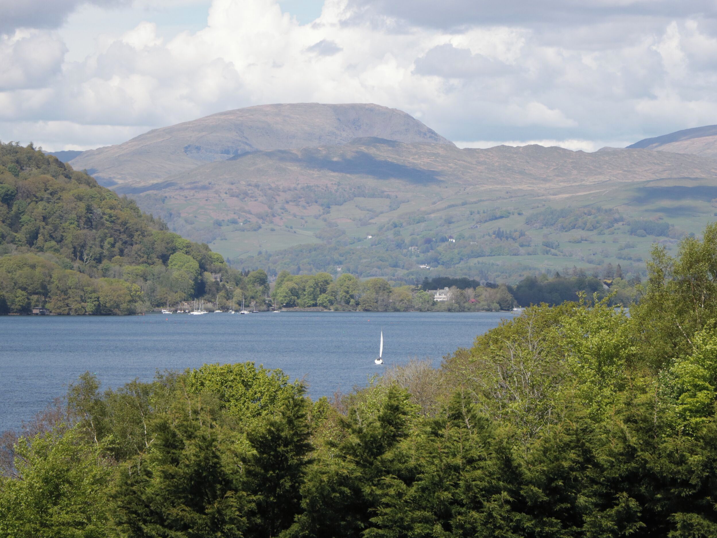 Imagen general