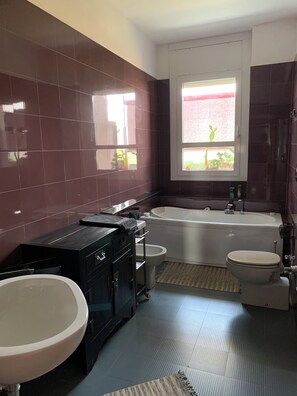 Shower, hair dryer, bidet, towels