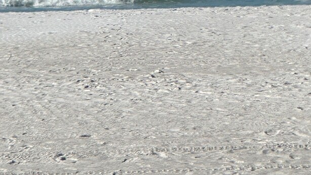 Ein Strand mit blauem Himmel und ruhiger See.