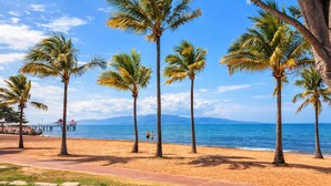 A beach with palm trees, a clear sky, and a distant mountain range. - Beachfront Apartment in Townsville 1BR on The Strand with Pool and Parking (Townsville)