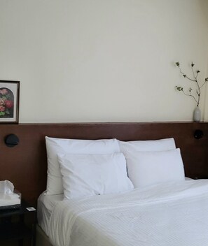 Standard Double Room, 1 Queen Bed, Non Smoking, Private Bathroom | Iron/ironing board, free WiFi