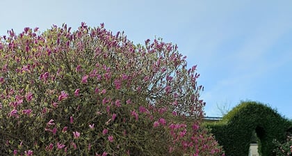 Bed and Breakfast 'Chambre Lecarpentier - Tulipe' with Shared Terrace, Shared Garden and Wi-Fi