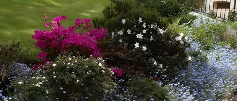 Terrain de lâhĂ©bergement