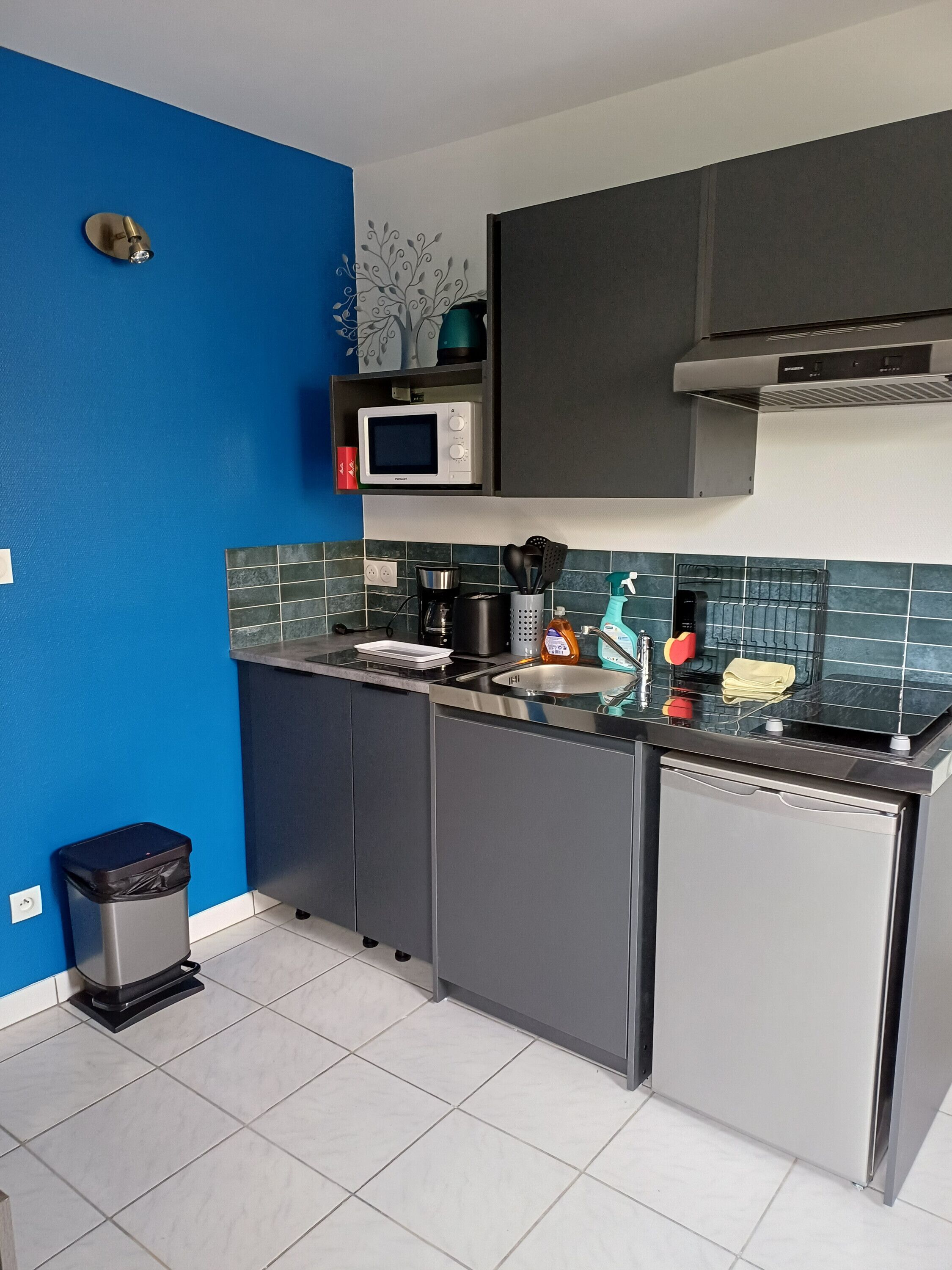 Kühlschrank, Mikrowelle, Herdplatte, Wasserkocher mit Kaffee-/Teezubehör