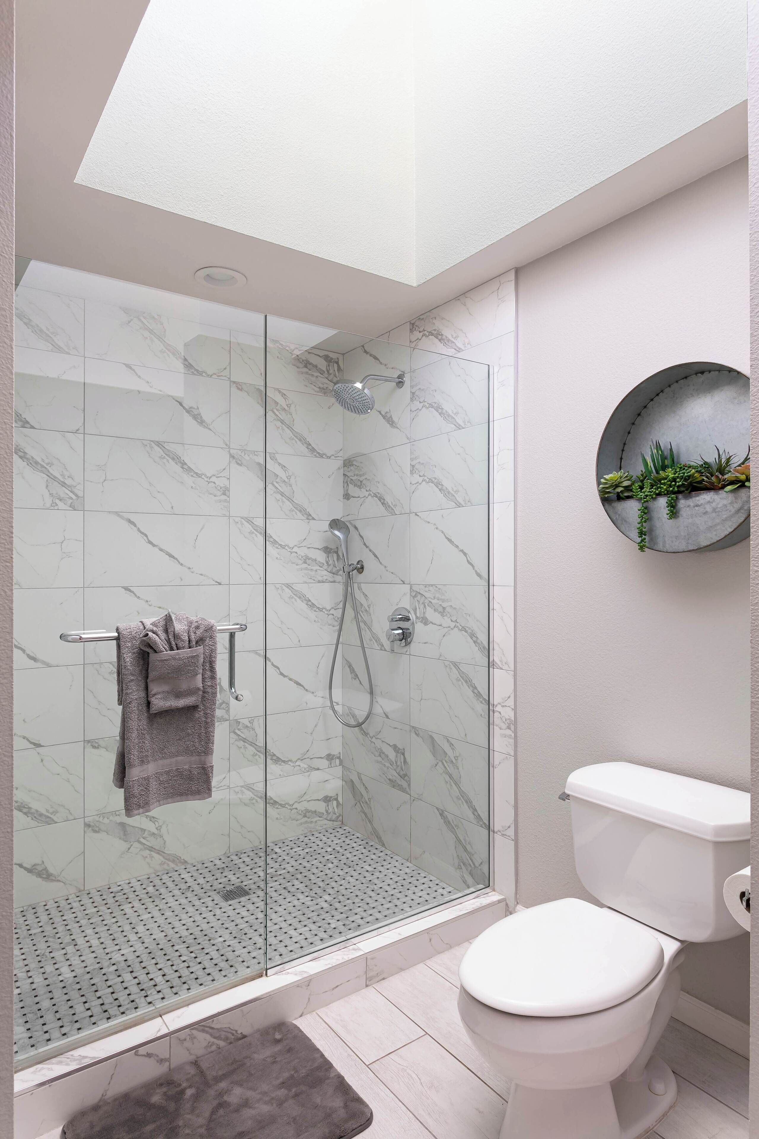 Un baño moderno con ducha de vidrio, inodoro y una pequeña planta en la pared.