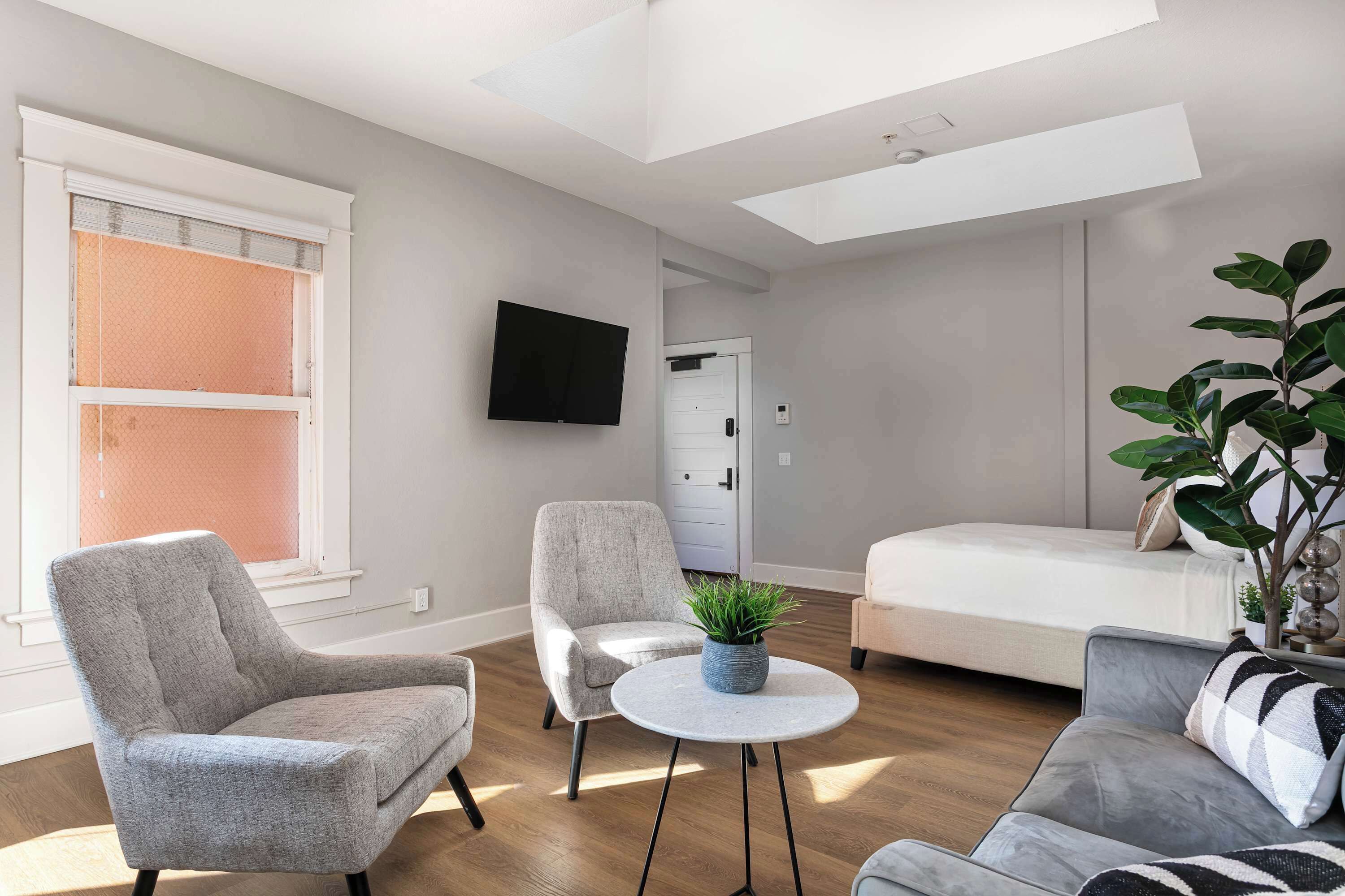A modern living room with a sofa, armchair, and a small round table with a plant.
