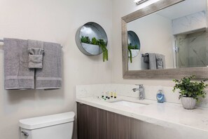 Douche, séchoir à cheveux, serviettes fournies, shampooing