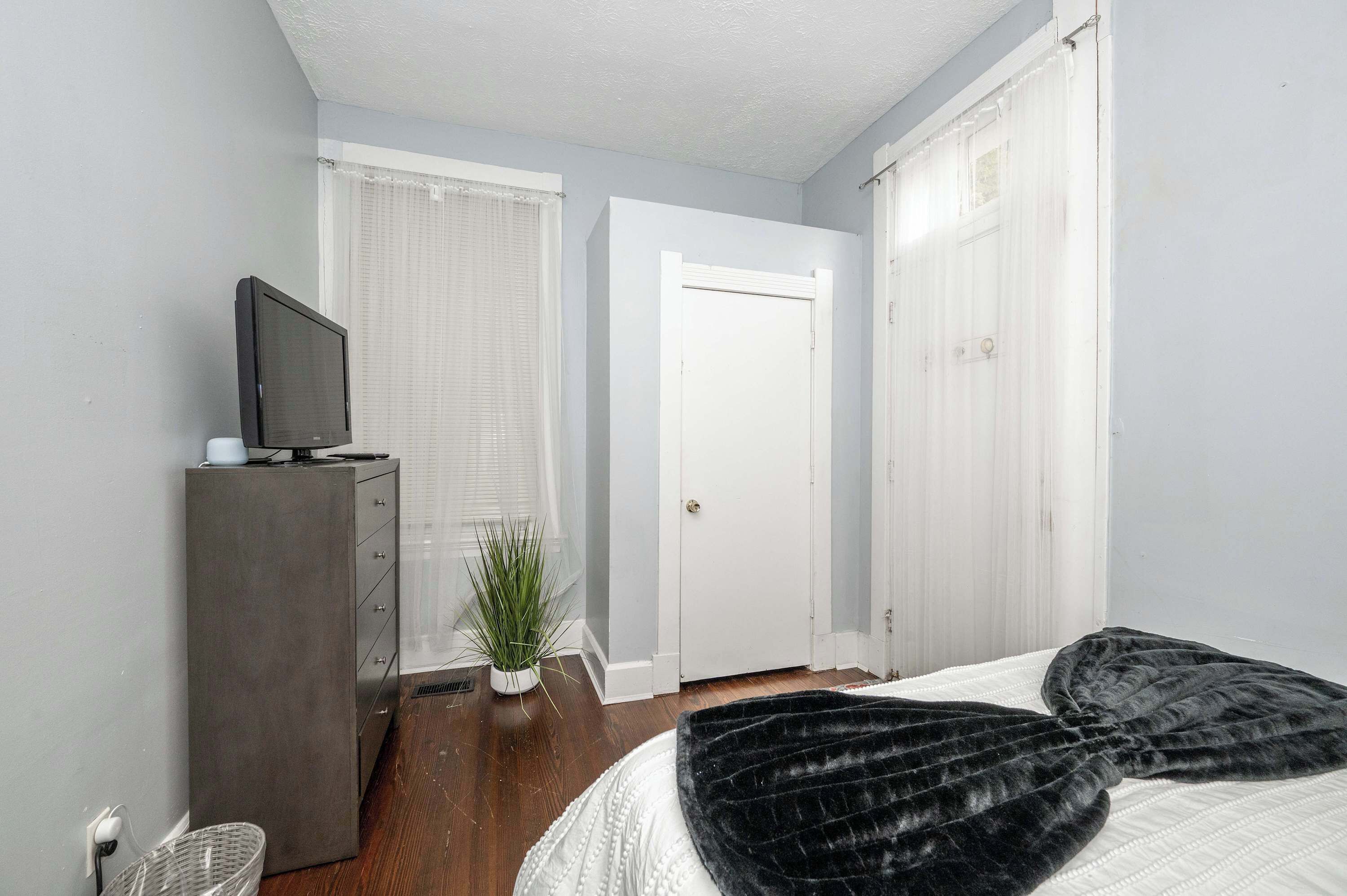 A bedroom with a bed, a dresser, a television, a potted plant, and a door.