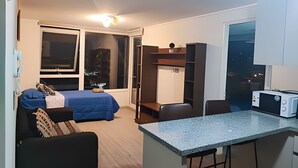 Ein gemütlicher Raum mit Bett, einer kleinen Küchenzeile, einer Sitzecke und Blick durch ein Fenster.