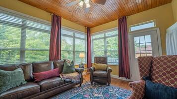 Smart TV, fireplace, books