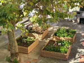 Overnattingsstedets uteområder