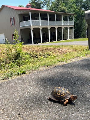 Terrain de lâhĂ©bergement