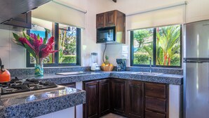A modern kitchen with granite countertops, dark wooden cabinets, a stainless steel refrigerator, and a large window with a view of greenery. - Casa Amor, 1-bedroom Villa with salt water pool, garden & mountain views (Ojochal)