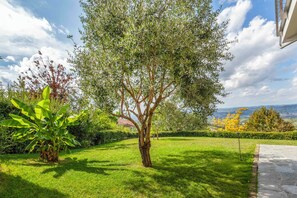Terrain de lâhĂ©bergement