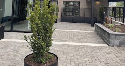 Cozy brand new 1 bedroom Condo , close to Hospital , UFV & downtown Abbotsford.