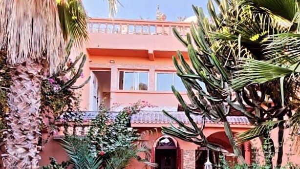 A courtyard with a tiled pathway leading to a building entrance, surrounded by various plants and a palm tree. - TIKI HOUSE  (Lalla Takarkoust)
