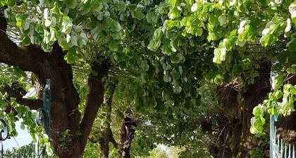 Le petit Château Avesnois