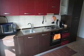 Casa, 2 dormitoris, balcó, vistes a la ciutat | Cuina privada | Frigorífic gran, microones, forn i placa de cuina